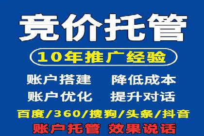 高效百度推广案例解析及优化策略